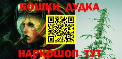 мдпв Будённовск