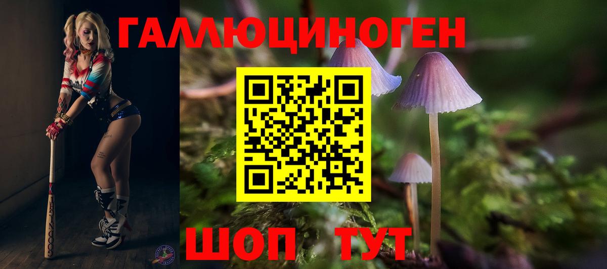 Псилоцибиновые грибы Psilocybine cubensis Хабаровск
