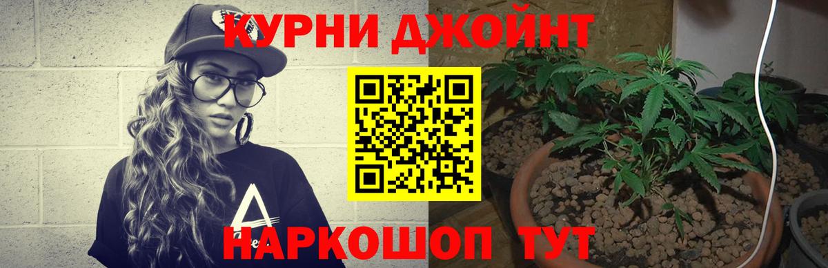 Канабис план Хабаровск